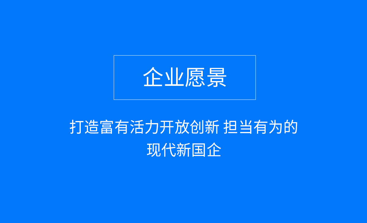 企业愿景